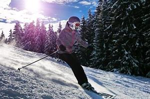 Downhill Skier amid Pines